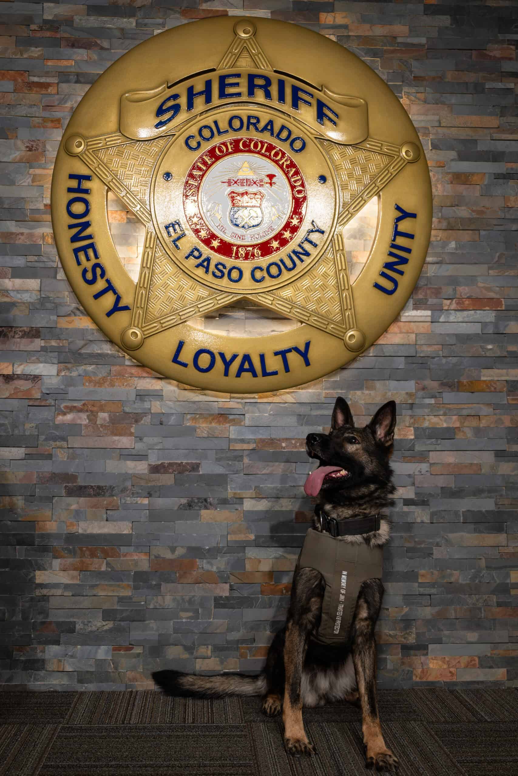 K9 Mako in his new vest.