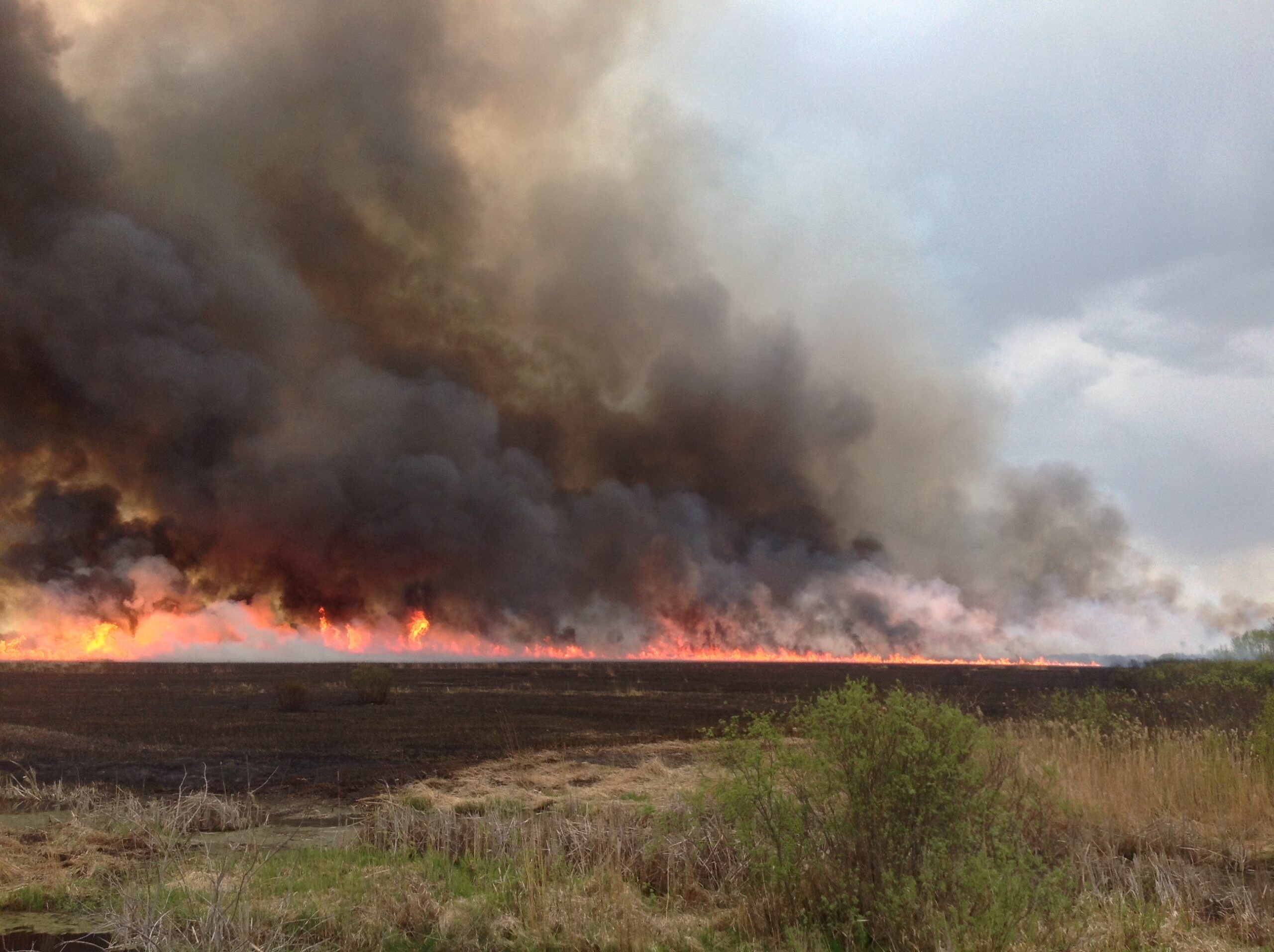 Image of a fire burning in a field.