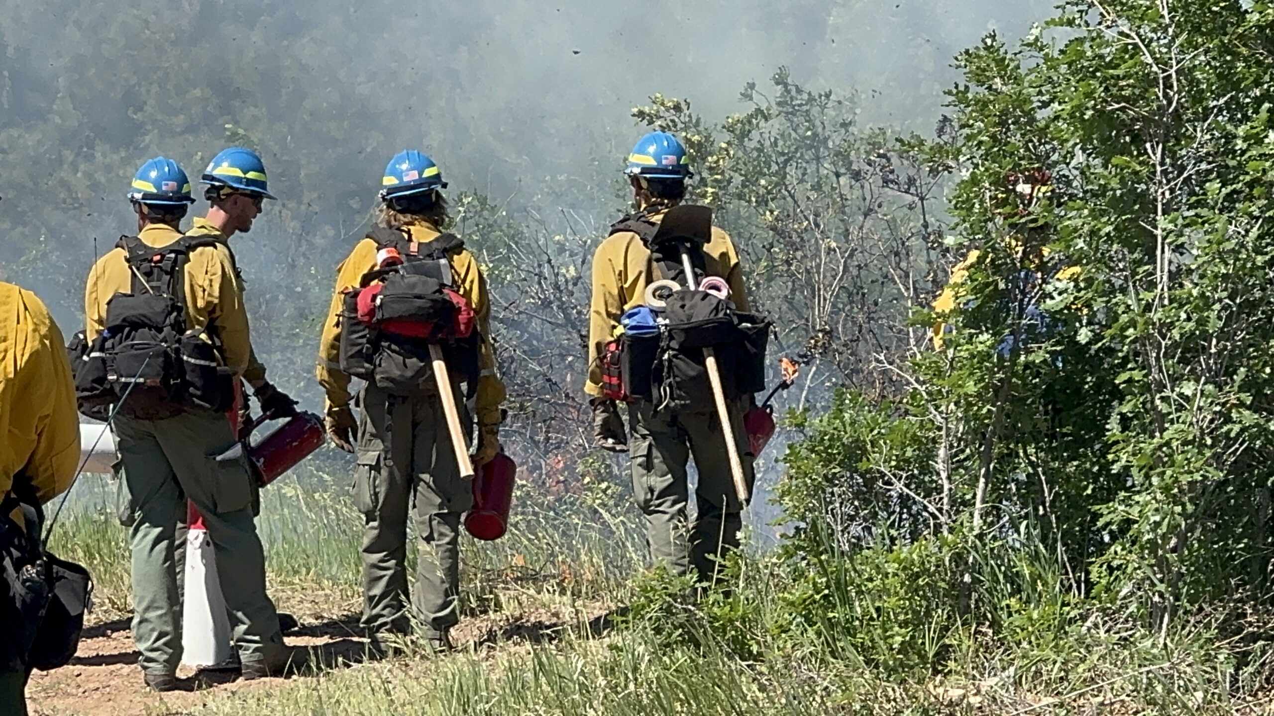 Wildland Firefighters out on a controlled burn.