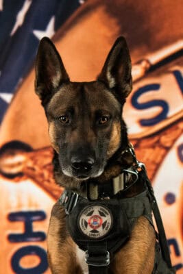 K9 Styx