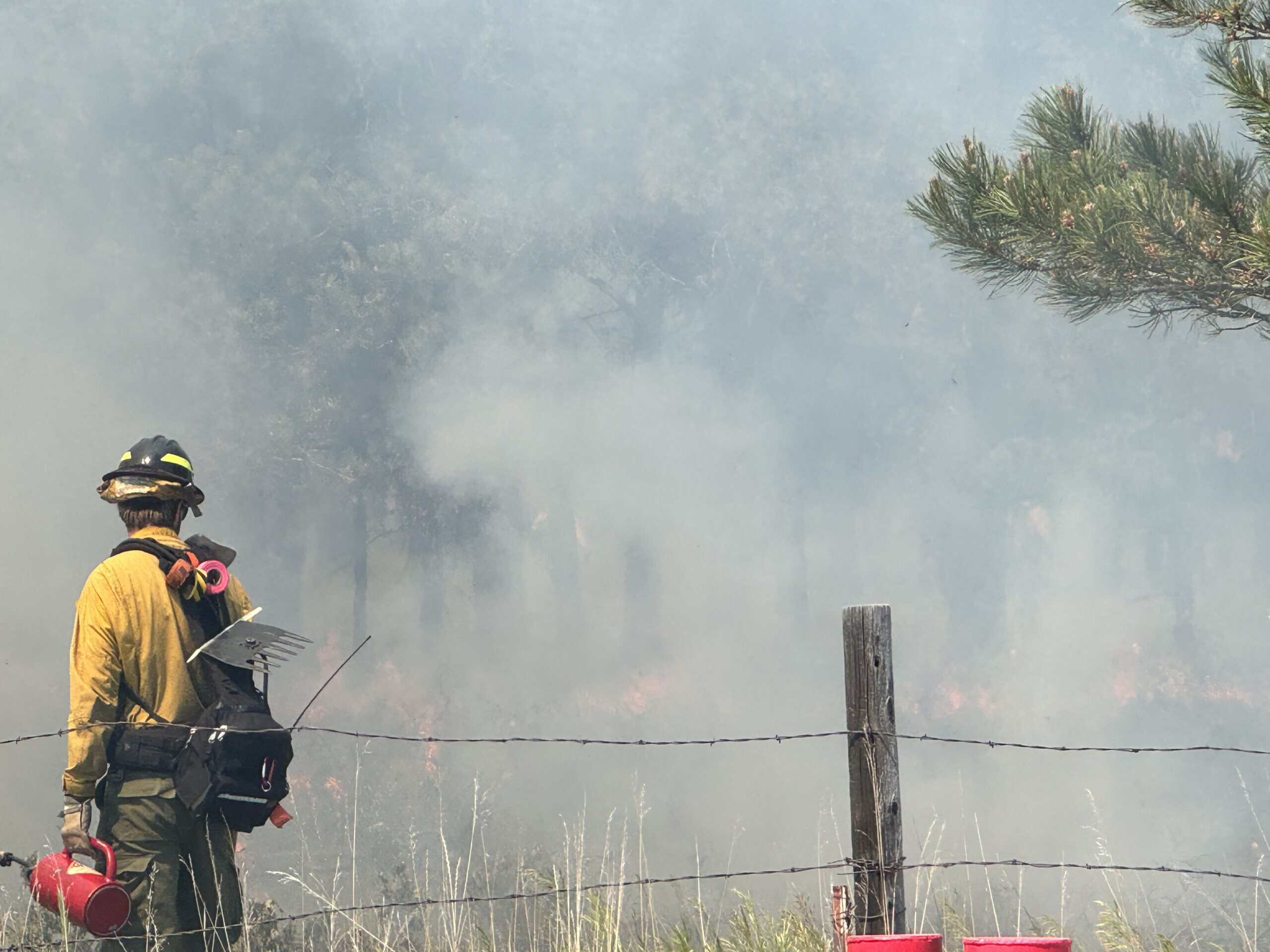 EPSO Wildland Firefighter at controlled burn.