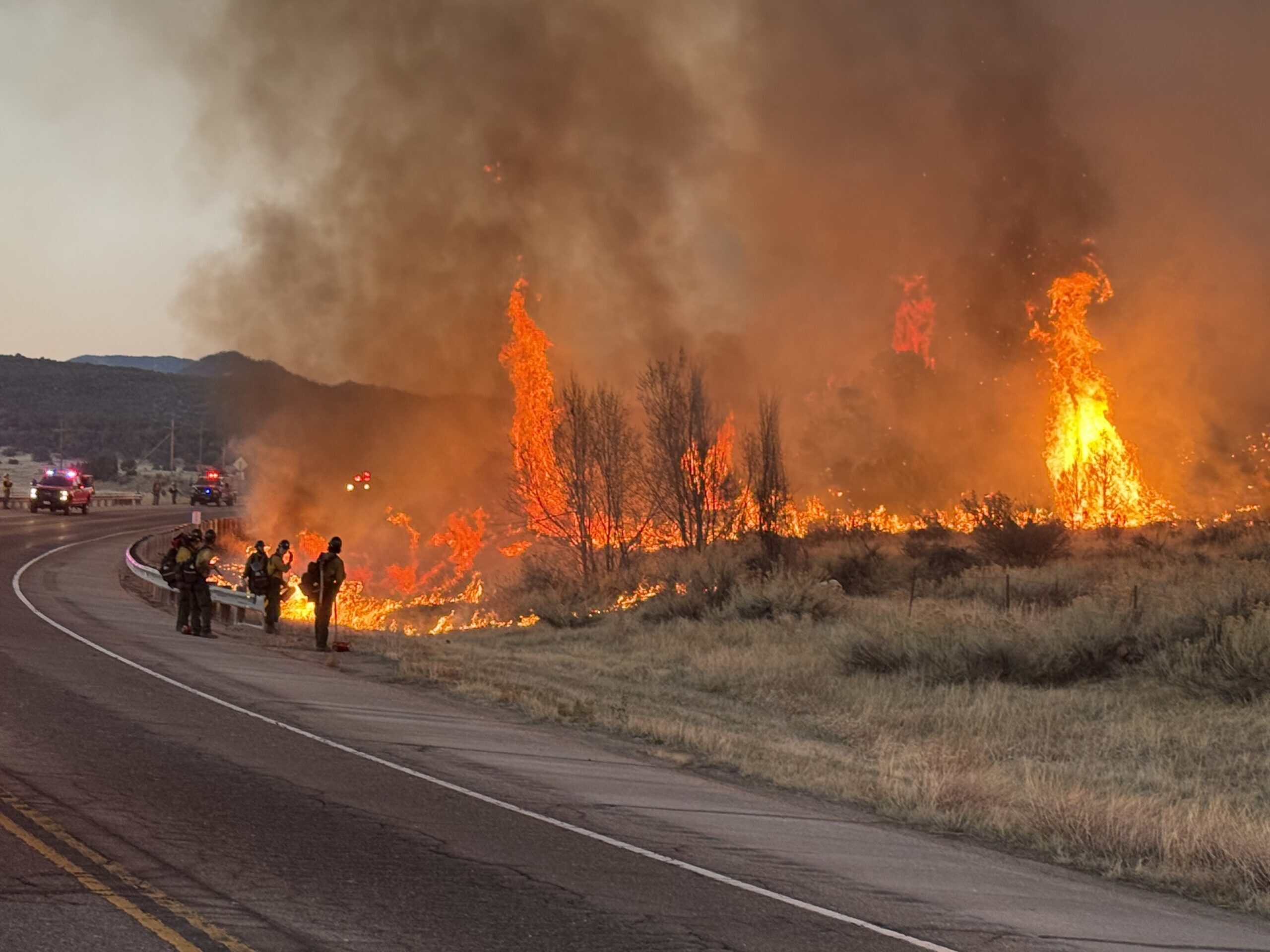 Wildland Fire Unit