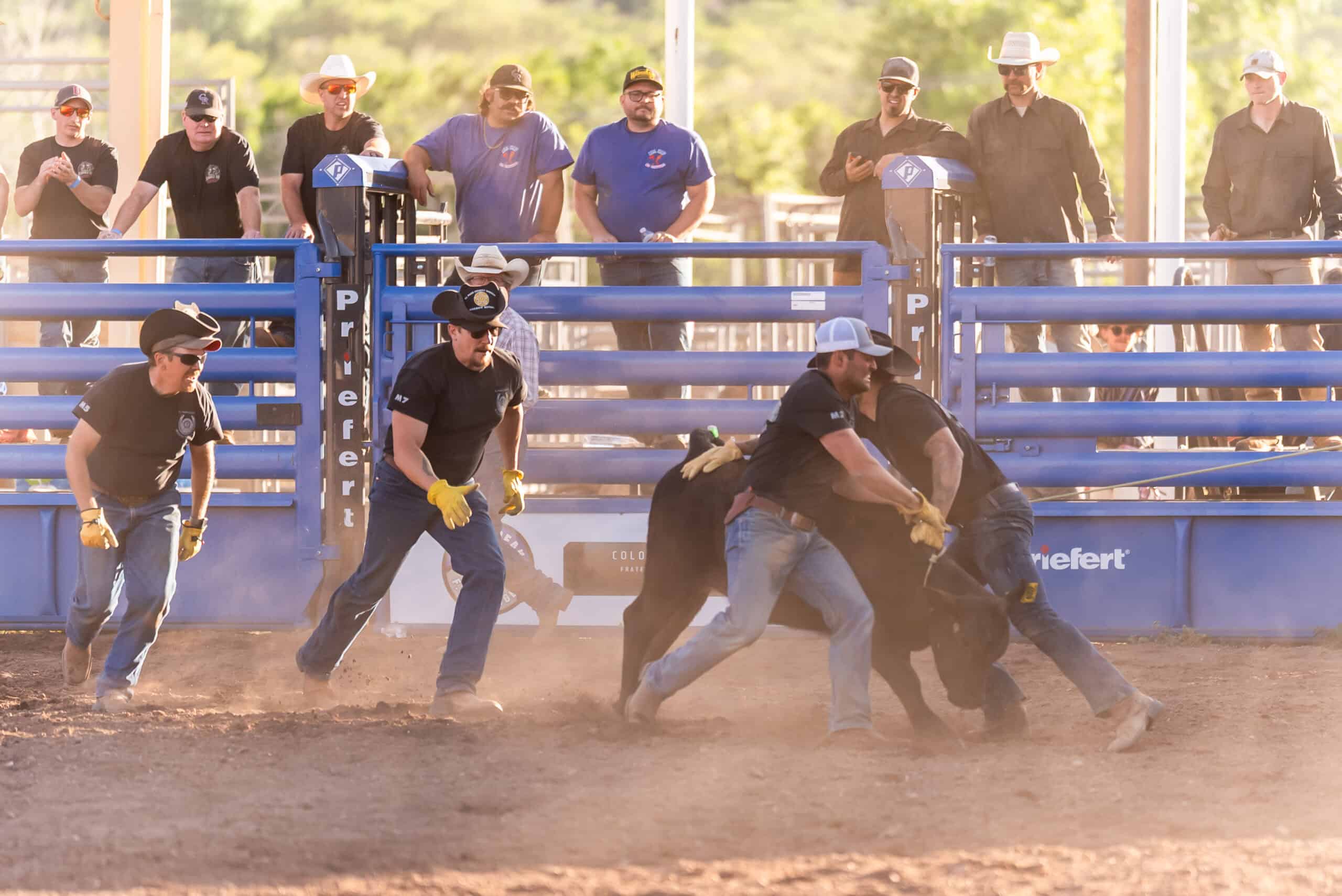 Guns and Hoses